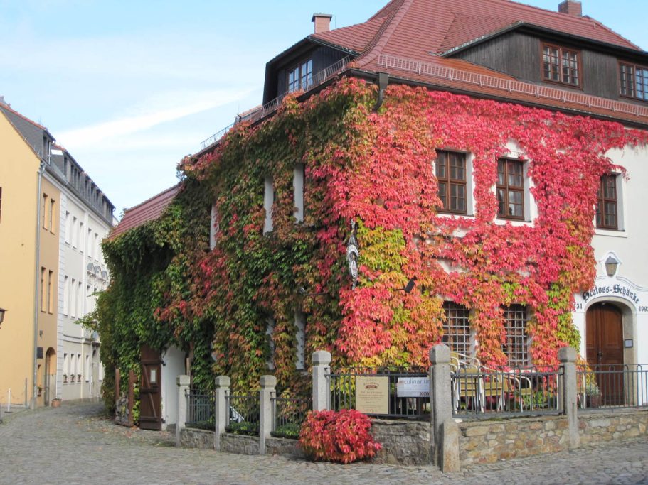 Außenansicht der Schloss-Schänke mit buntem Herbstlaub